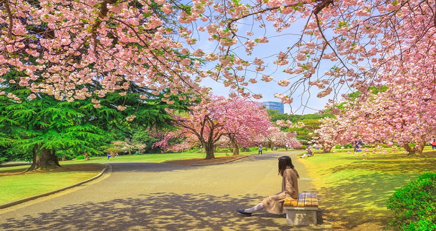 ueno park.jpg